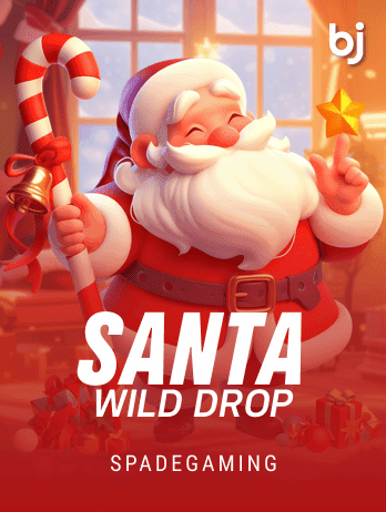 Santa Wild Drop game icon